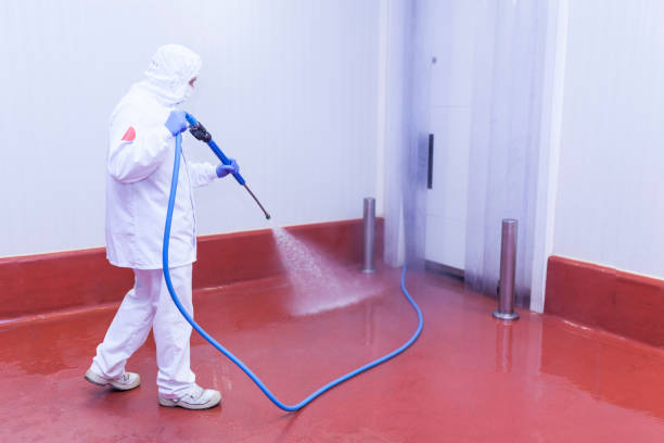 Best Oil Spill Cleanup  in Eastwood, MI