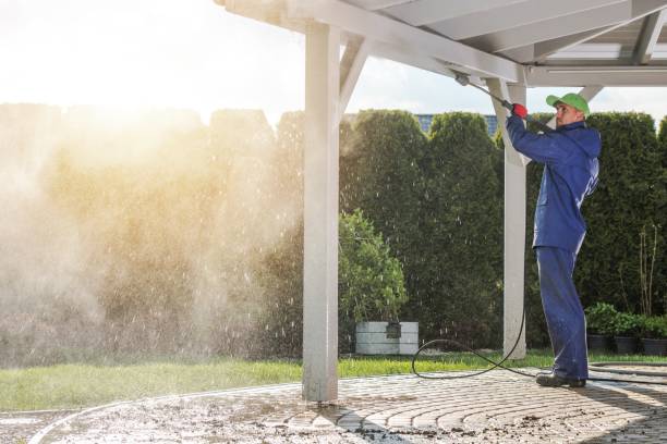 Best Winterizing Services  in Eastwood, MI
