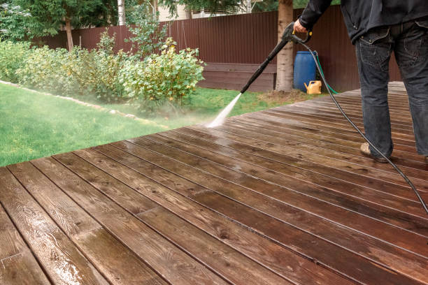 Best Fence Cleaning  in Eastwood, MI