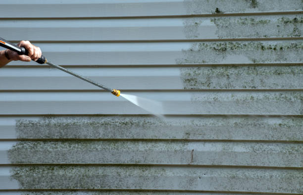 Best House Exterior Washing  in Eastwood, MI