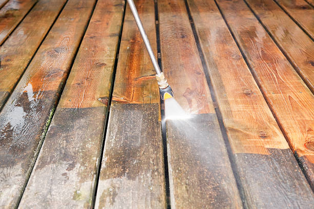 Best Animal Enclosure Cleaning  in Eastwood, MI
